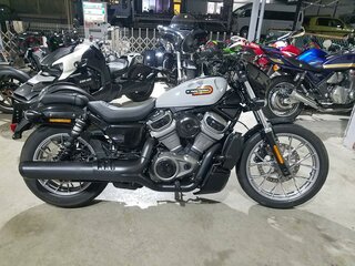 2024 Harley-Davidson Nightster, серый, 899000 рублей, вид 2