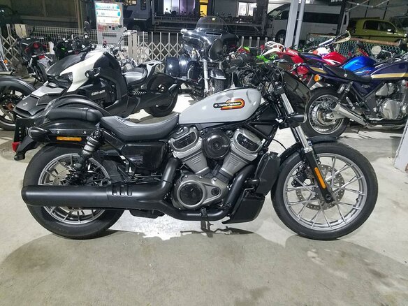 2024 Harley-Davidson Nightster, серый, 899000 рублей - вид 1