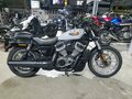 2024 Harley-Davidson Nightster, серый, 899000 рублей - вид 1