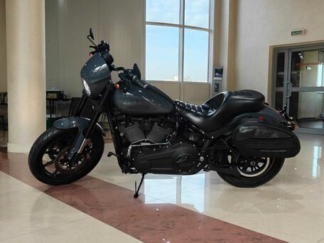 2022 Harley-Davidson Low Rider, серый, 1650000 рублей, вид 2