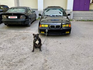 1997 BMW 3 серии 316i III (E36), чёрный, 500000 рублей, вид 1