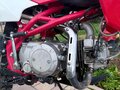 2016 Kayo Basic TT140EM, красный, 65000 рублей - вид 3