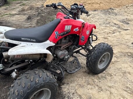 2016 Motoland ATV 250S, красный, 120000 рублей, вид 5