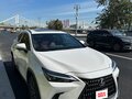 2022 Lexus NX 350h II, белый, 6000000 рублей - вид 10