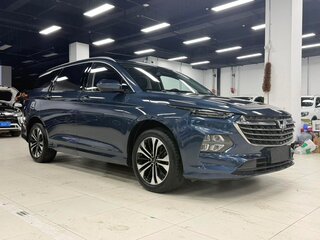 2022 Wuling Victory, синий, 1020000 рублей, вид 2