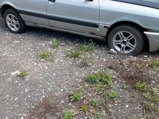 1988 Audi 80 IV (B3), серый, 65000 рублей, вид 3