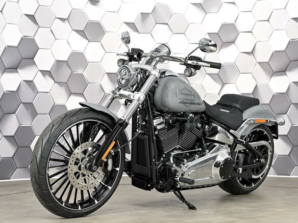 2025 Harley-Davidson Breakout, серый - вид 1