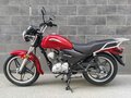 2025 Honda CBF 125T, красный, 229900 рублей - вид 1