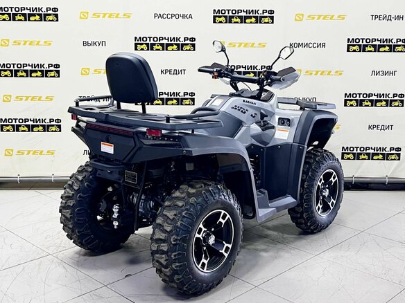 2025 Bashan Explorer 320, серый, 549000 рублей - вид 4