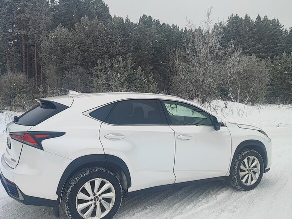 2018 Lexus NX 200 I Рестайлинг, белый, 3600000 рублей - вид 6