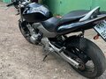 2003 Honda CB 600F Hornet, чёрный, 440000 рублей - вид 8