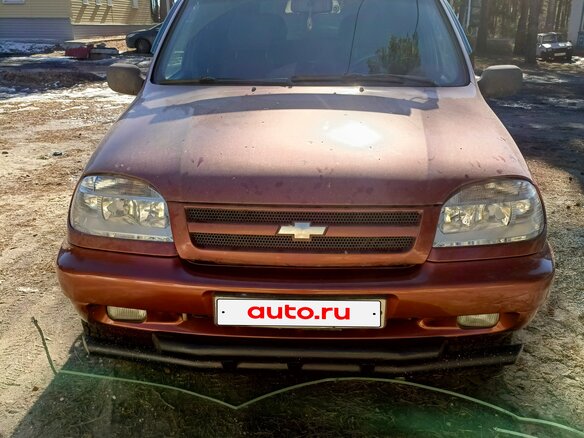 2008 Chevrolet Niva I, коричневый, 450000 рублей - вид 2