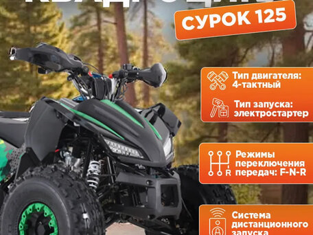 2025 Другие ATV (другие), синий, 135000 рублей, вид 5