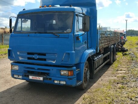 2007 КамАЗ 65117, синий, 2053000 рублей, вид 2