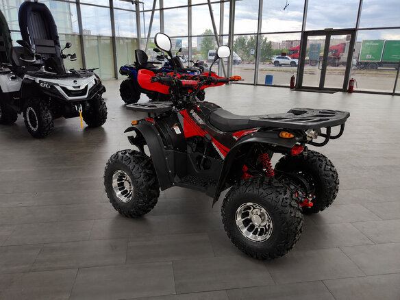 2026 Другие Мотовездеходы (другие), чёрный, 97800 рублей - вид 4