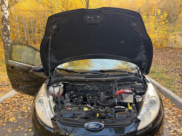 2009 Ford Fiesta Mk6, чёрный, 649000 рублей - вид 11