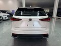 2020 Lexus NX 200 I Рестайлинг, белый, 3115007 рублей - вид 5