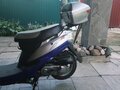 2008 Baltmotors Joy 50, синий, 25000 рублей - вид 1