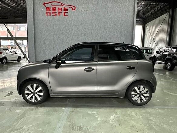 2021 Ora Black Cat 33 kWh, серебристый - вид 3