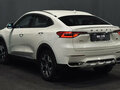 2021 Haval F7x I, белый - вид 7