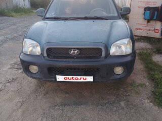 2002 Hyundai Santa Fe I, синий, 320000 рублей, вид 2