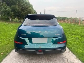 2021 Ora Good Cat 47.8 kWh I, зелёный, 1420000 рублей, вид 4