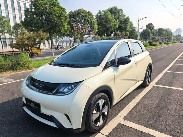 2024 BYD Dolphin 44.9 kWh I, белый, 1250000 рублей