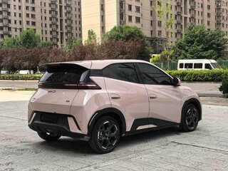 2024 BYD Seagull 38.88 kWh I, розовый, 1520000 рублей, вид 4