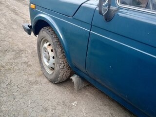2002 Lada (ВАЗ) 2131 (4x4) I, зелёный, 165000 рублей, вид 3