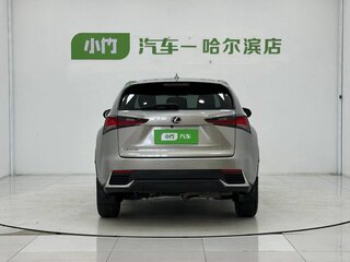 2020 Lexus NX 200 I Рестайлинг, серый, 3090000 рублей, вид 3