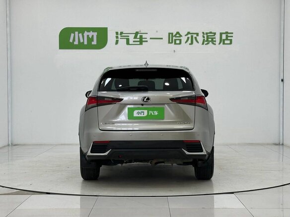 2020 Lexus NX 200 I Рестайлинг, серый, 3090000 рублей - вид 2