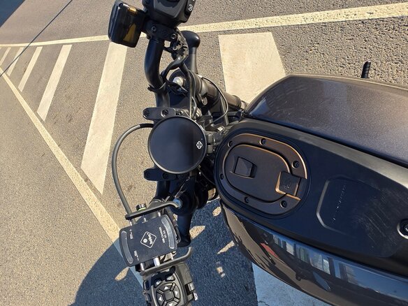 2024 Harley-Davidson Sportster S, коричневый - вид 9