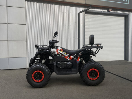 2026 Bison Warrior 200, чёрный, 162400 рублей, вид 2