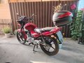 2021 Yamaha YBR125, красный, 255000 рублей - вид 5