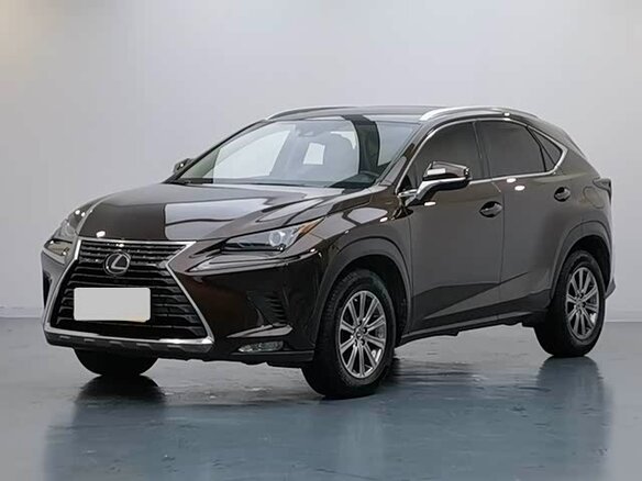 2021 Lexus NX 200 I Рестайлинг, коричневый