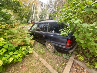 1997 Opel Astra 16LZ2 F, синий, 70000 рублей, вид 3