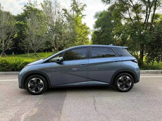 2024 BYD Dolphin 44.9 kWh I, голубой, 1450000 рублей, вид 3