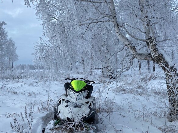 2009 Arctic Cat King Cat, белый - вид 1