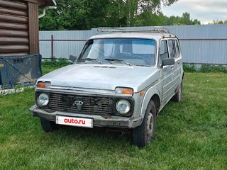 2010 Lada (ВАЗ) 2131 (4x4) Бронто-213102 I, серый, 145000 рублей, вид 1