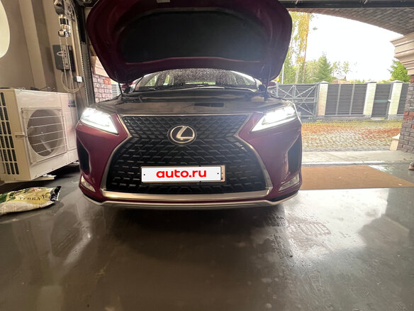 2019 Lexus RX 300 IV Рестайлинг, красный, 4330000 рублей - вид 2
