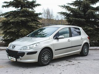 2006 Peugeot 307 I Рестайлинг, серый, 285000 рублей, вид 3
