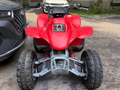 2005 Honda TRX 250, красный, 220000 рублей, вид 2