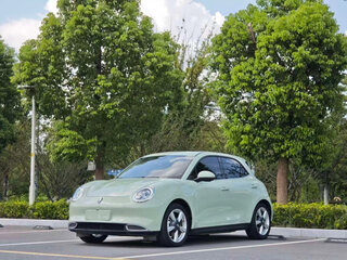 2024 Ora Good Cat 47.8 kWh I, белый, 1685000 рублей, вид 1