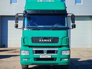 2018 КамАЗ 5490, зелёный, 1590000 рублей, вид 3