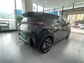 2024 BYD Seagull 30.08 kWh I, чёрный - вид 2