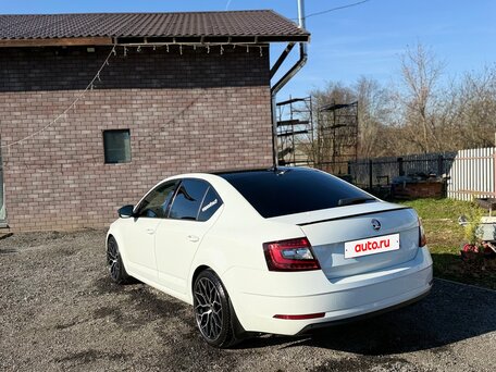 2019 Skoda Octavia III (A7) Рестайлинг, белый, 2390000 рублей, вид 5