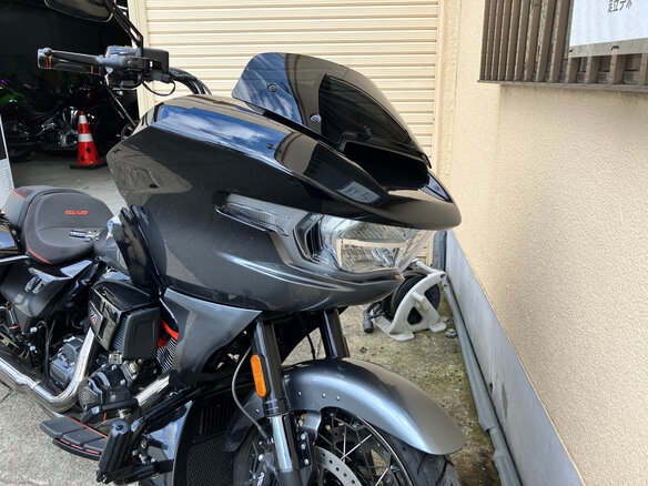 2025 Harley-Davidson CVO Road Glide, серый - вид 24