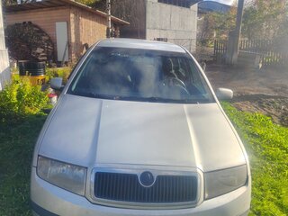 2007 Skoda Fabia I Рестайлинг, серебристый, 290000 рублей, вид 1