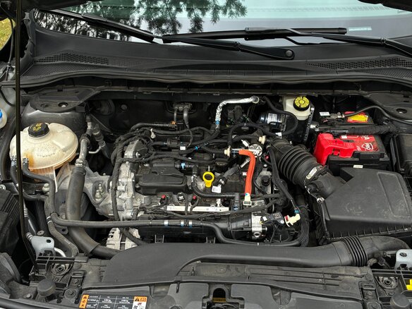 2022 Ford Escape IV, серый, 1360000 рублей - вид 12
