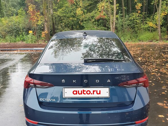 2022 Skoda Octavia IV (A8), синий - вид 13